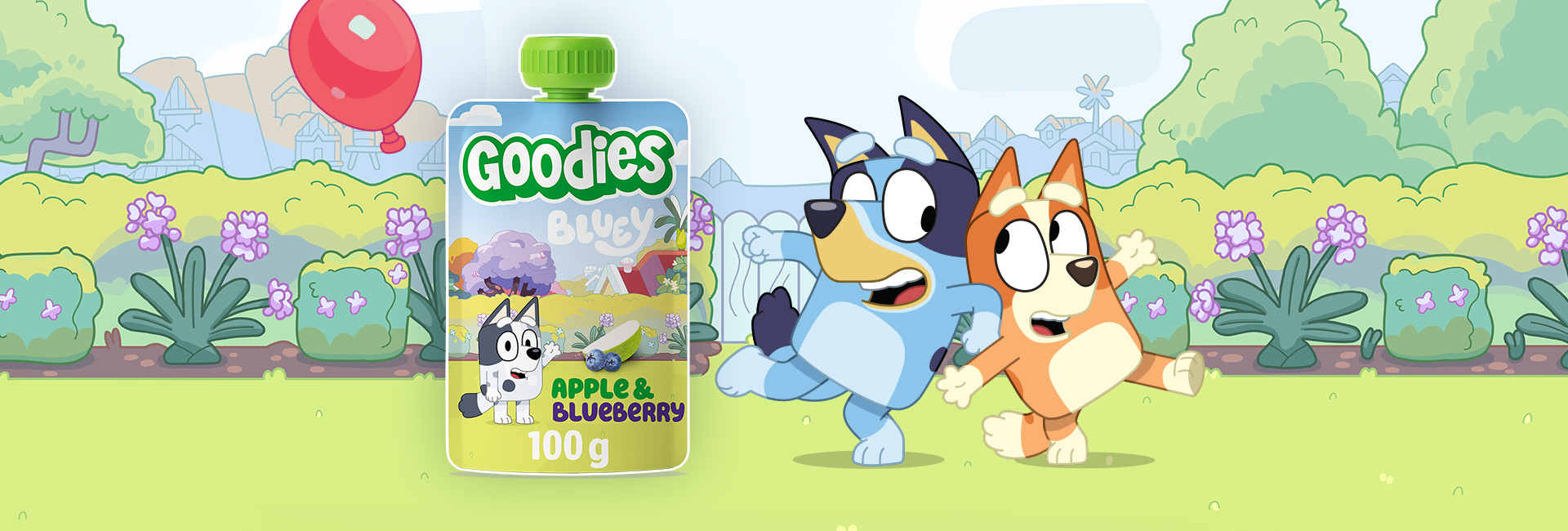 Banner Goodies and Bluey